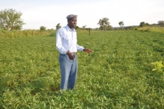 WO1-Omondi-Kola-Peter-standing-in-his-Orange-Sweet-Potato-garden-in-Omoro-District